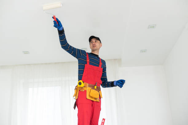 Best Drywall Repair  in Passapatanzy, VA